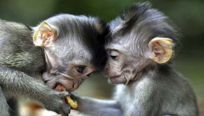 اچھی بات نہیں