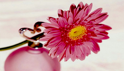 اخلاق کی خوشبو