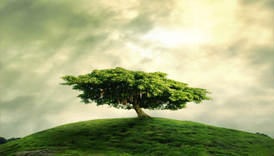 نا شکری کا انجام 