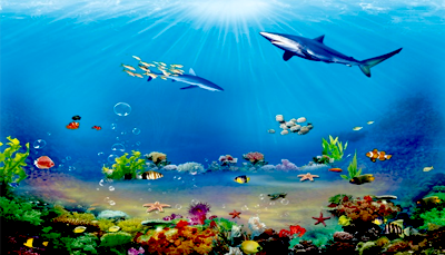 پنکی کا کھانا 