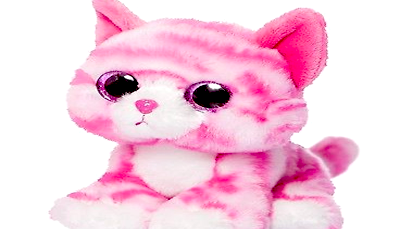 ننھی وانیہ اور پنک مانو